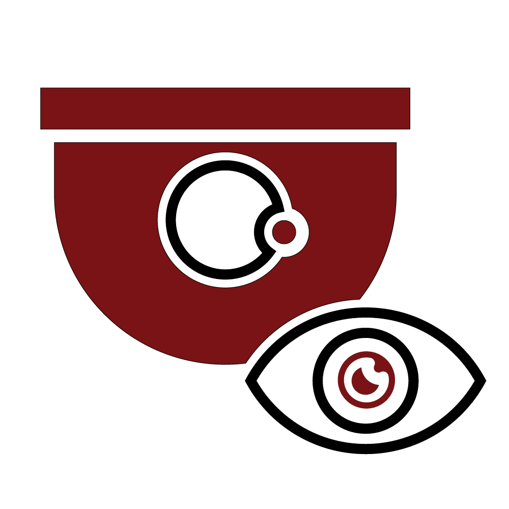 Security Camera Icon